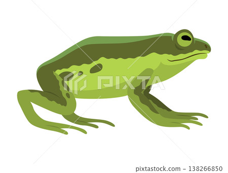 Frog jumping animation icon. Sequences or footage for motion design. Cartoon toad jumping, animal movement concept. Frog leap sequence, vector illustration Frog jumping animation icon. Sequences or footage for motion design. Cartoon toad jumping, animal movement concept. Frog leap sequence, vector illustration 138266850