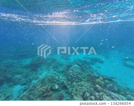 Look up from underwater Look up from underwater 138266854