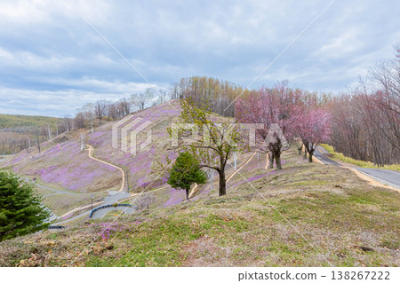 Hisashimo和Shibaura Park Hisashimo和Shibaura Park 138267222