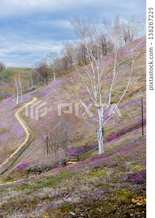 Hisashimo and Shibaura Park 138267225