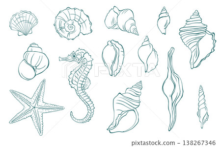 Hand drawn seashells and starfish collection, marine sketch illustration set 138267346