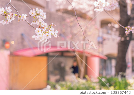 櫻花與城市景觀 138267443