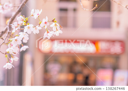 櫻花和商店 櫻花和商店 138267446