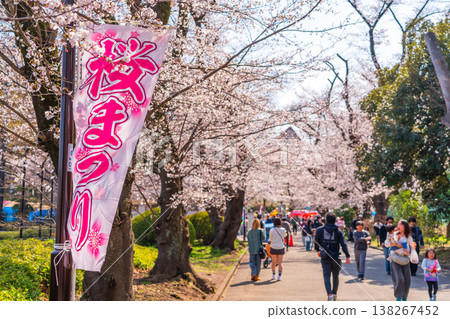 八王子市櫻花節,藤森公園 八王子市櫻花節,藤森公園 138267452