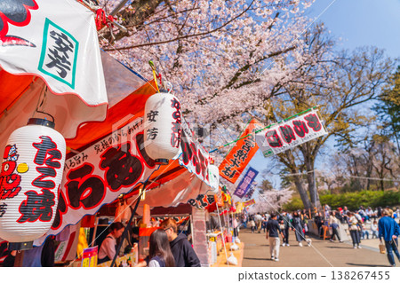 Hachioji City Cherry Blossom Festival, Fujimori Park 138267455