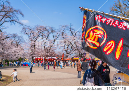 八王子市櫻花節，藤森公園 138267456