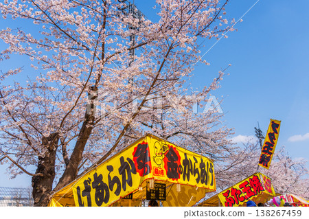 八王子市櫻花節,藤森公園 八王子市櫻花節,藤森公園 138267459