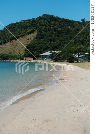 Serene Coastal View With Lush Greenery 138268137