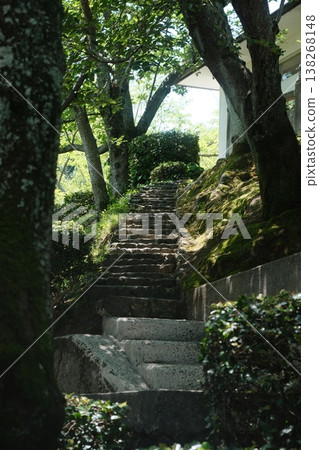 Ancient Stone Pathway Through Lush Greenery Ancient Stone Pathway Through Lush Greenery 138268148