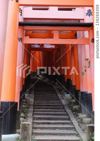 Fushimi Inari Shrine Vermilion Torii Gate Path Fushimi Inari Shrine Vermilion Torii Gate Path 138268308