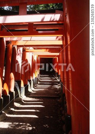 Kyoto Fushimi Inari Shrine Pathway Sunlight Kyoto Fushimi Inari Shrine Pathway Sunlight 138268539
