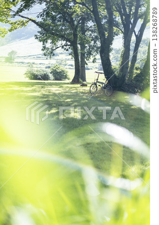 Cycling image of fresh greenery and early summer (Oyama Kagamiga-naru) Cycling image of fresh greenery and early summer (Oyama Kagamiga-naru) 138268789