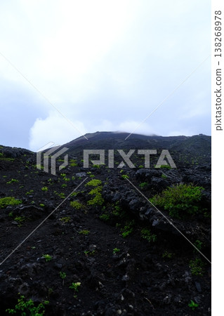 Dark Rock Face With Emerging Green Life Dark Rock Face With Emerging Green Life 138268978