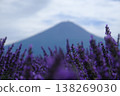 Lavender Fields With Distant Mount Fuji View 138269030