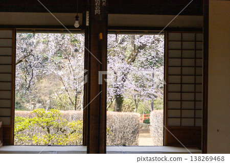 川越喜多寺,春天的景色 川越喜多寺,春天的景色 138269468