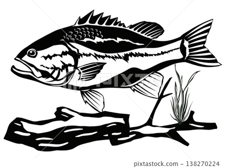 兇猛的黑鱸什麼都吃——是本地物種的天敵(剪紙拼貼插圖) 兇猛的黑鱸什麼都吃——是本地物種的天敵(剪紙拼貼插圖) 138270224