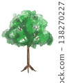 一棵樹 138270227
