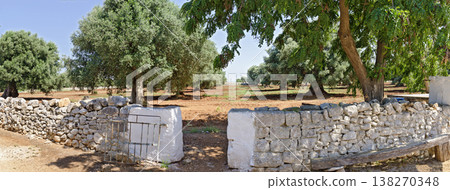 Olive trees behind a stone wall Olive trees behind a stone wall 138270348