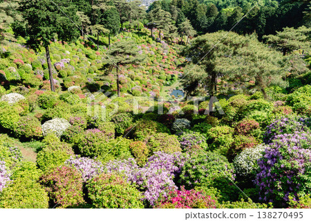 Shiofune Kannon Temple and a spring flower landscape adorned with azaleas Shiofune Kannon Temple and a spring flower landscape adorned with azaleas 138270495