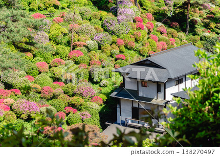 鹽船觀音寺和點綴著杜鵑花的春日花海 鹽船觀音寺和點綴著杜鵑花的春日花海 138270497