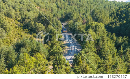 Train emerging from tunnel through lush forest Train emerging from tunnel through lush forest 138270537