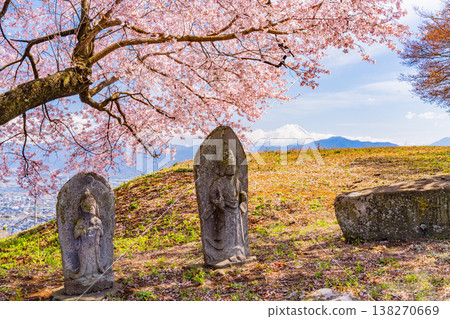 (Yamanashi Prefecture) Cherry blossoms at a roadside shrine are in full bloom, with Mount Fuji visible in the distance. 138270669