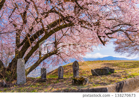 (Yamanashi Prefecture) Cherry blossoms at a roadside shrine are in full bloom, with Mount Fuji visible in the distance. (Yamanashi Prefecture) Cherry blossoms at a roadside shrine are in full bloom, with Mount Fuji visible in the distance. 138270673