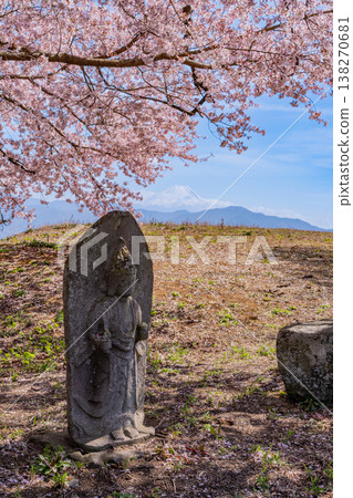 (山梨縣)路邊神社的櫻花盛開,遠處可見富士山。 (山梨縣)路邊神社的櫻花盛開,遠處可見富士山。 138270681