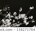 Cherry blossoms at night 138271764