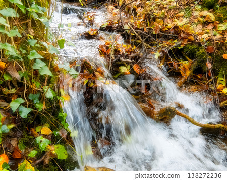 A small woodland waterfall cascades over rocks and fallen autumn leaves surrounded by green ivy and forest vegetation. A small woodland waterfall cascades over rocks and fallen autumn leaves surrounded by green ivy and forest vegetation. 138272236
