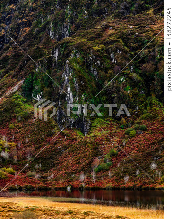 Rugged mountain slope covered in vibrant green moss and rust-colored bracken reflected in still water. Rugged mountain slope covered in vibrant green moss and rust-colored bracken reflected in still water. 138272245