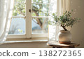 A soothing houseplant: a small olive tree basking in the sunlight filtering through the curtains. 138272365