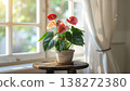 Red anthuriums by the window and sunlight; vibrant interior greenery. 138272380
