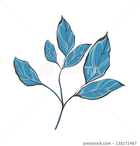Single botanical branch with blue leaves in original hand drawn illustration style. 138272407