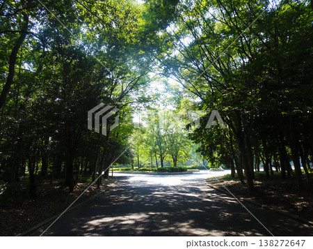 大阪城公園(大阪府大阪市中央區) 大阪城公園(大阪府大阪市中央區) 138272647