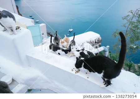 在聖托里尼度假 在聖托里尼度假 138273054