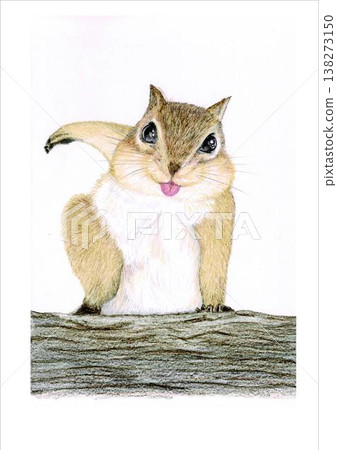 松鼠插圖 138273150