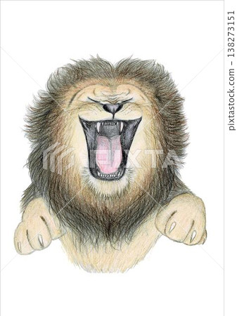 咆哮的獅子（插圖） 138273151