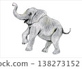 Elephant illustration 138273152