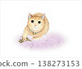 Cat and Dinosaur Illustration 138273153
