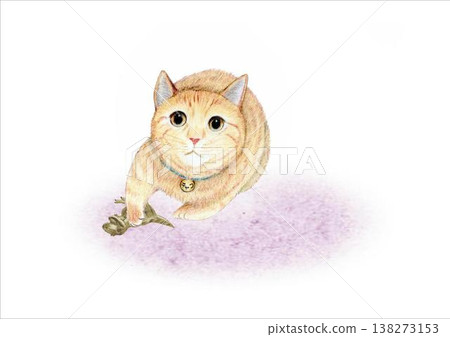 Cat and Dinosaur Illustration Cat and Dinosaur Illustration 138273153