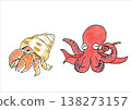 Hermit crab and octopus illustration 138273157