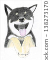 Shiba Inu illustration 138273170