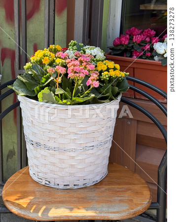 Mixed potted flowers including kalanchoe azalea and calla lily arranged on chair outdoors. Urban gardening, home decoration, floral diversity, cozy exterior space, lifestyle composition Mixed potted flowers including kalanchoe azalea and calla lily arranged on chair outdoors. Urban gardening, home decoration, floral diversity, cozy exterior space, lifestyle composition 138273278