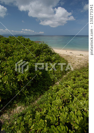 5 beautiful white sand beaches in Ogimi Village, Okinawa 5 beautiful white sand beaches in Ogimi Village, Okinawa 138273341