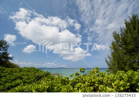 A beautiful white sand beach in Ogimi Village, Okinawa. A beautiful white sand beach in Ogimi Village, Okinawa. 138273433