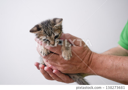 Adorable kitten held against the chest by one hand Adorable kitten held against the chest by one hand 138273681