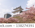 Cherry blossoms and Japanese castles: Scenes of spring flowers and traditional architecture 138274391