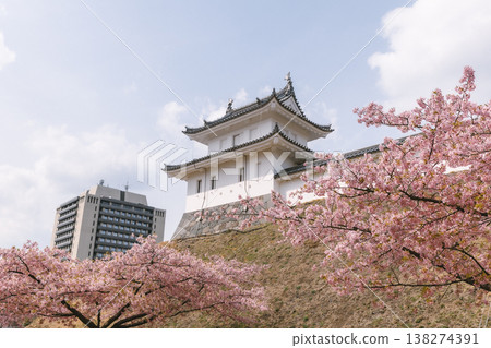 Cherry blossoms and Japanese castles: Scenes of spring flowers and traditional architecture Cherry blossoms and Japanese castles: Scenes of spring flowers and traditional architecture 138274391