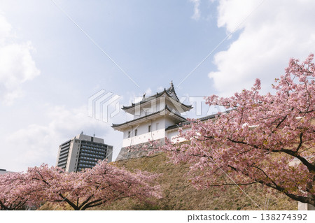 櫻花與日本城堡:春花與傳統建築的交相輝映 櫻花與日本城堡:春花與傳統建築的交相輝映 138274392